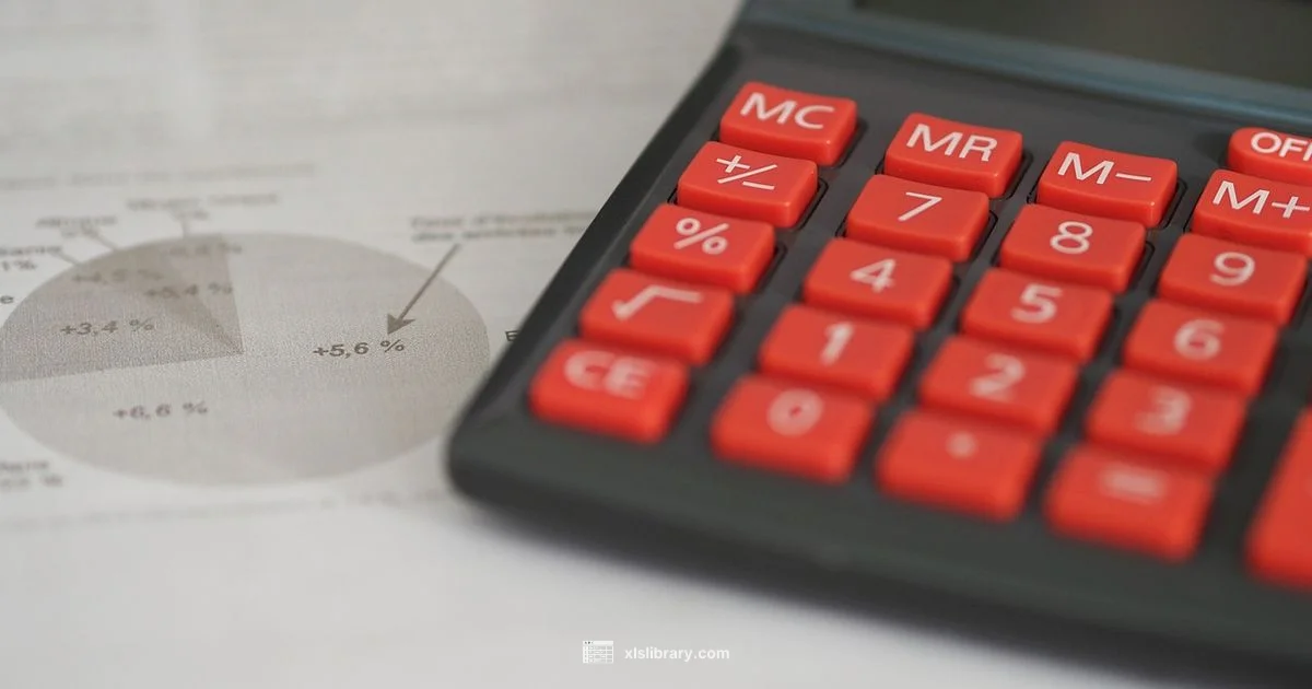 Excel in Accounting - XLS Library