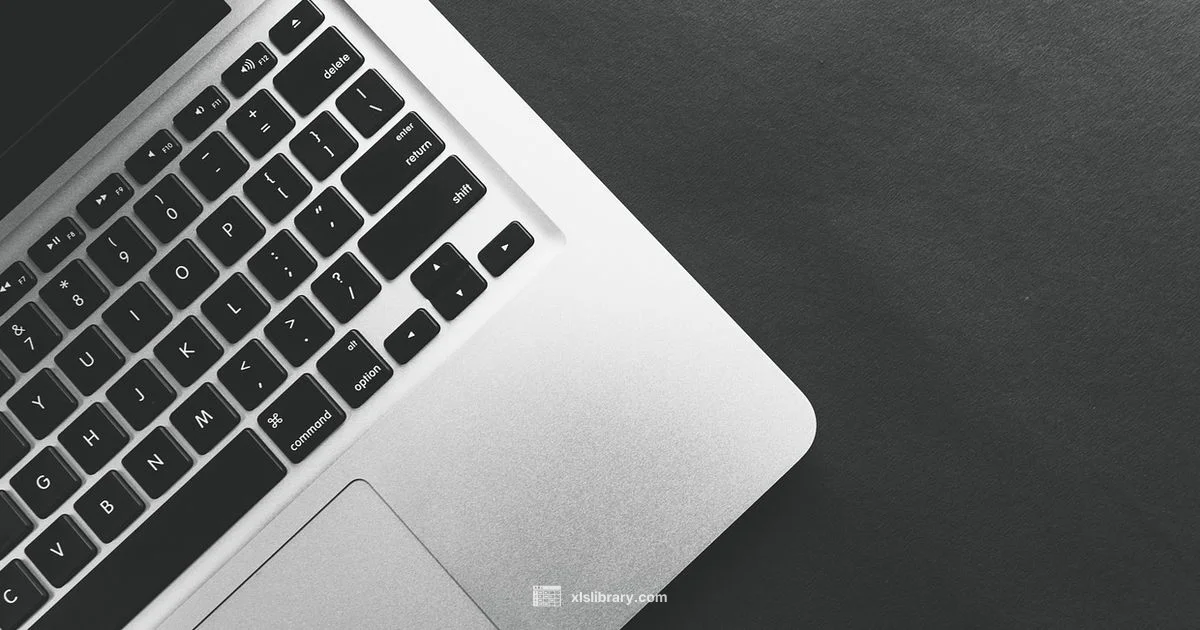 Expense Tracker Template - XLS Library