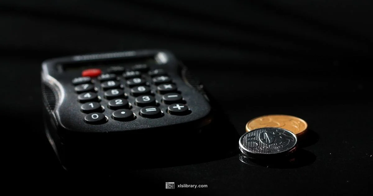 Excel in Accounting - XLS Library