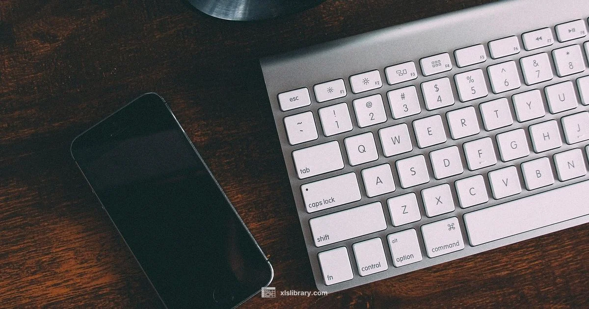 Excel on iPhone - XLS Library