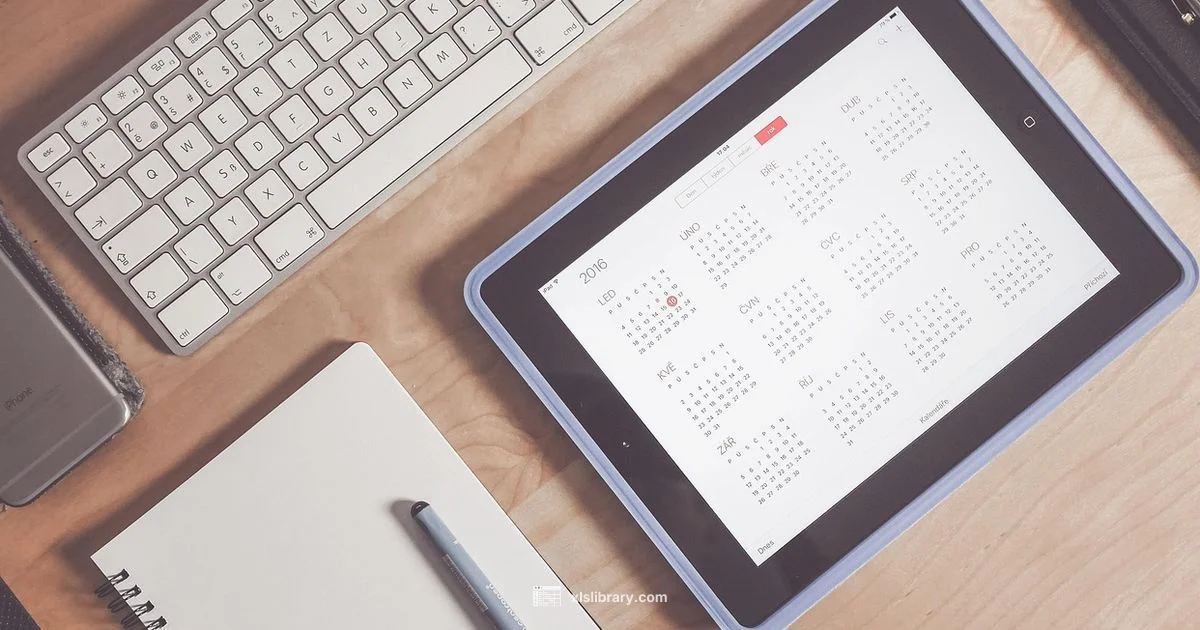 External Links Audit - XLS Library