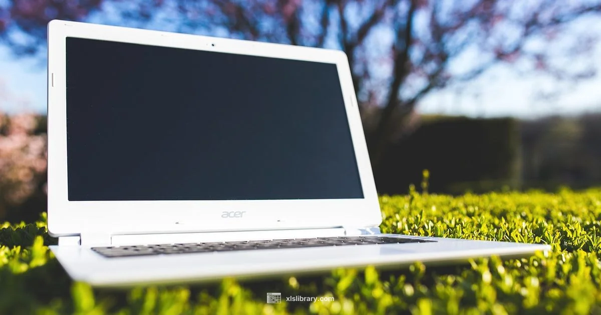 Excel Imaging - XLS Library