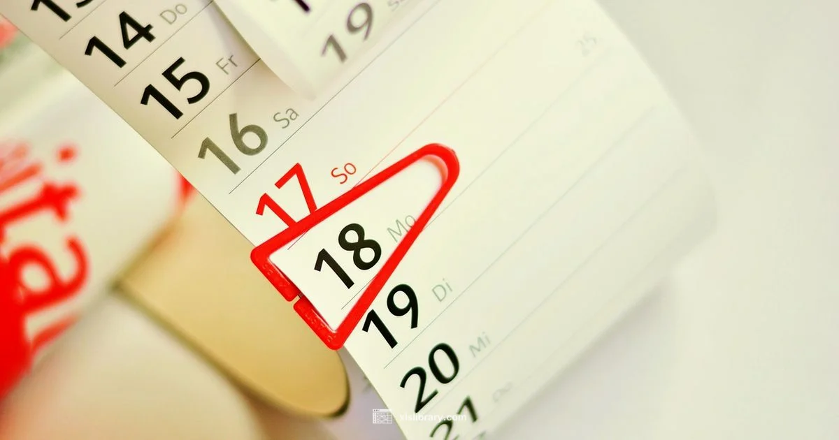 Excel Calendar Template - XLS Library