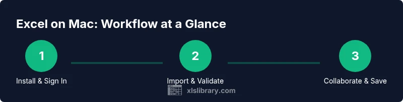 Process diagram showing Excel on Mac workflow