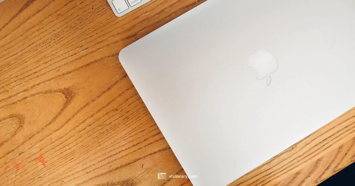 Excel on Mac Guide Excel on Mac Guide - XLS Library