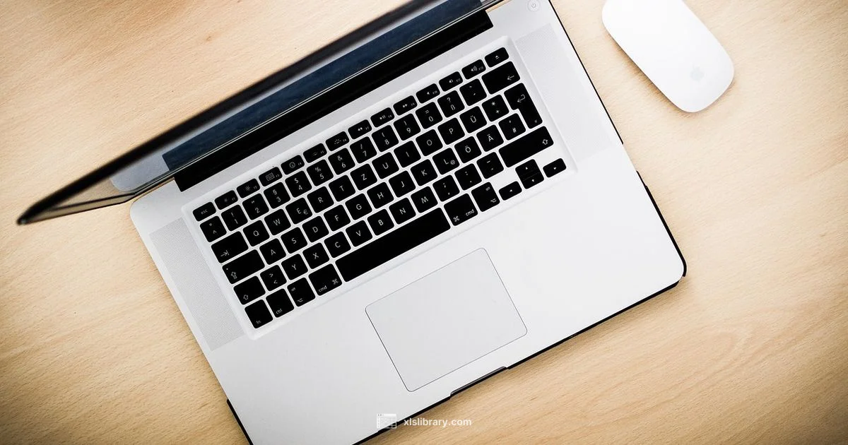 Excel Basics Excel Basics - XLS Library