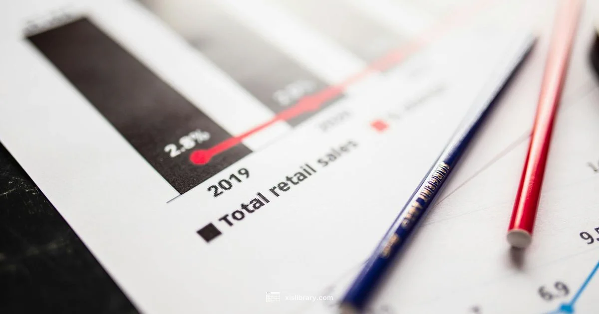 Excel Sales Mastery - XLS Library