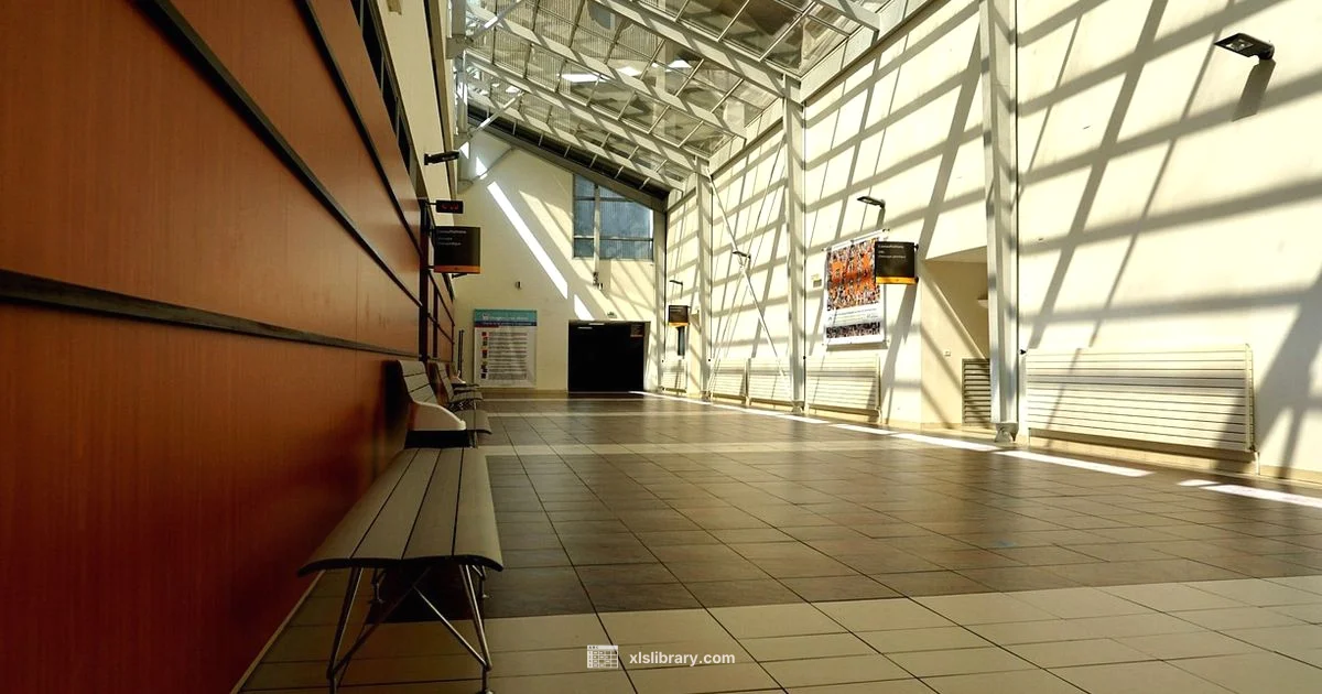 Singapore Healthcare Story - XLS Library