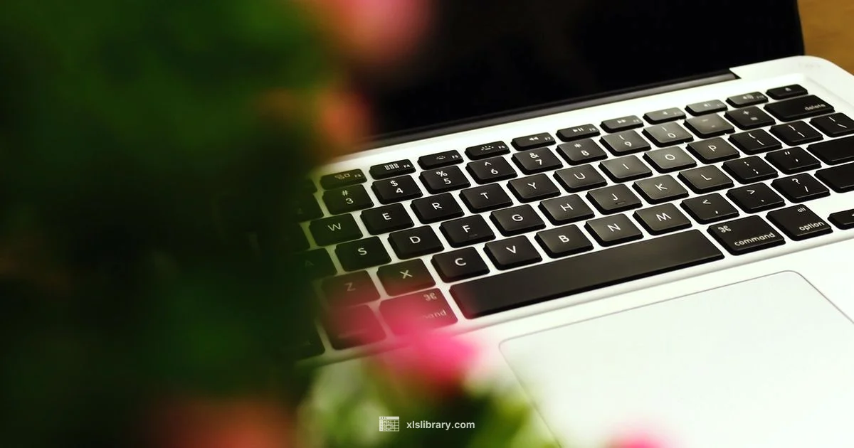 Mac Excel Alternatives - XLS Library