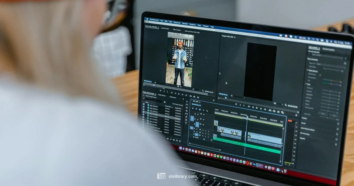 Proficiency Timeline - XLS Library