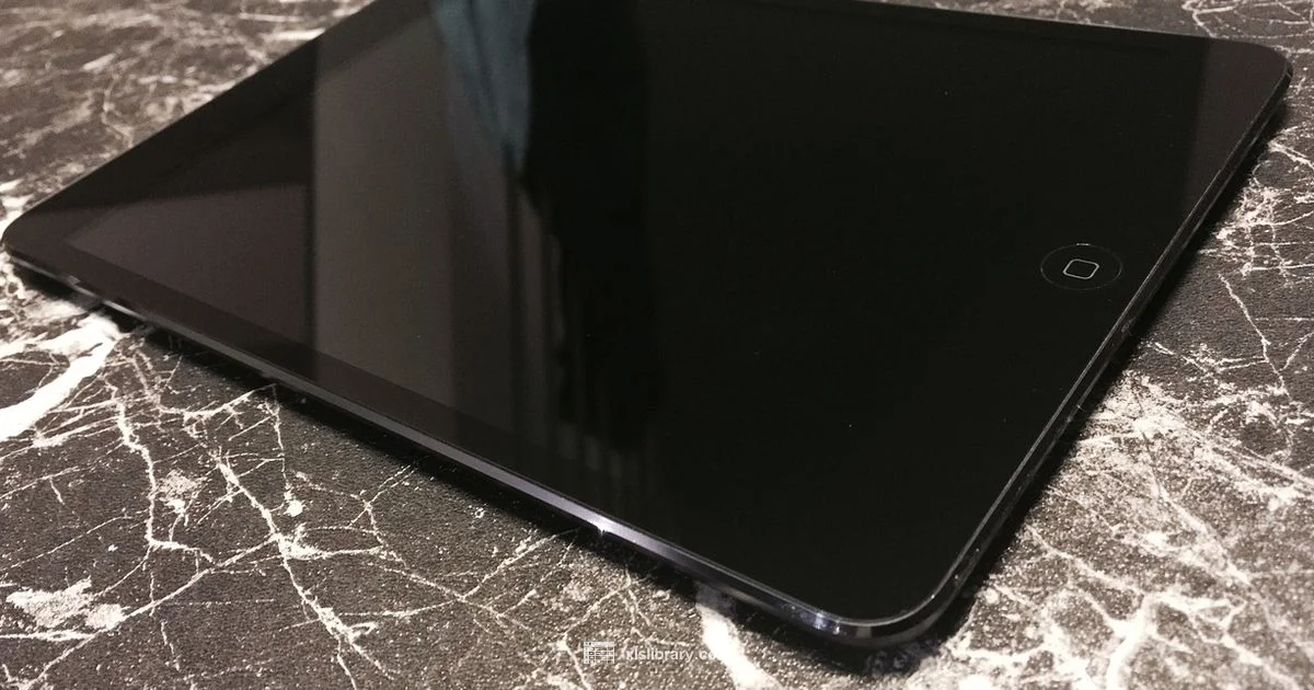 Excel on iPad Guide - XLS Library