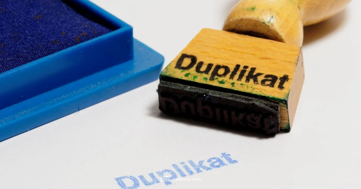 Excel Duplicates Check - XLS Library