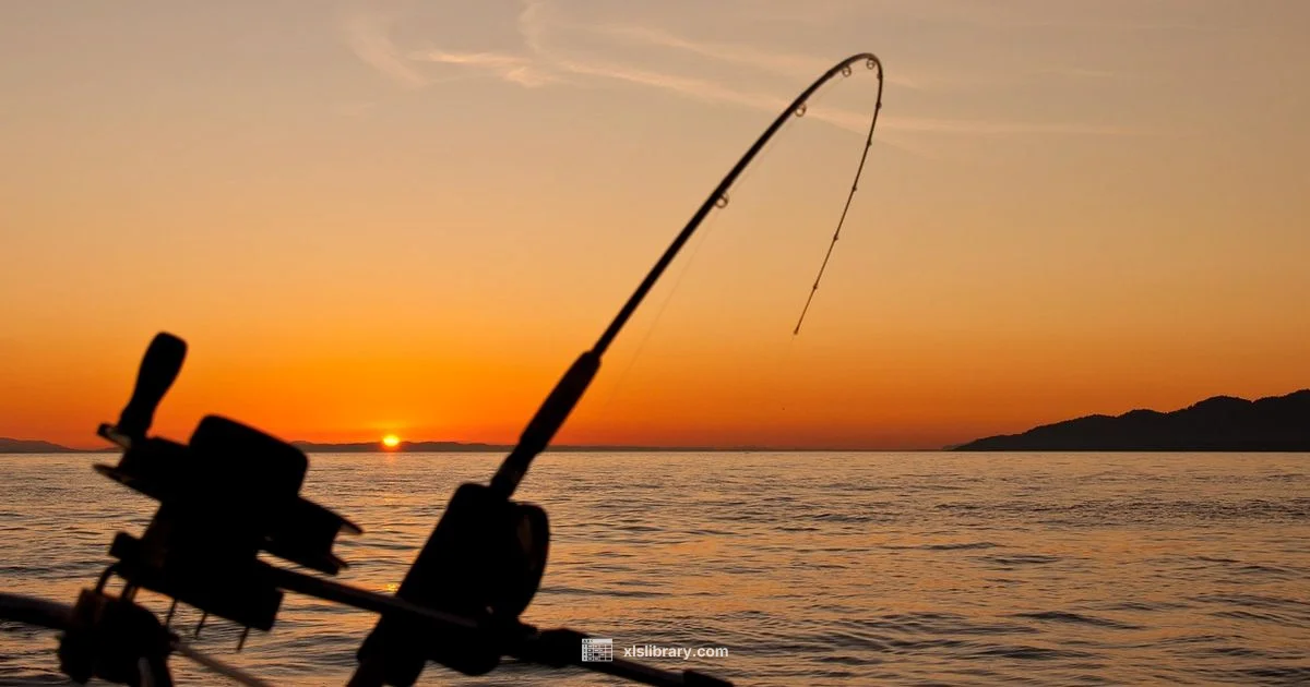 Excel for Anglers - XLS Library