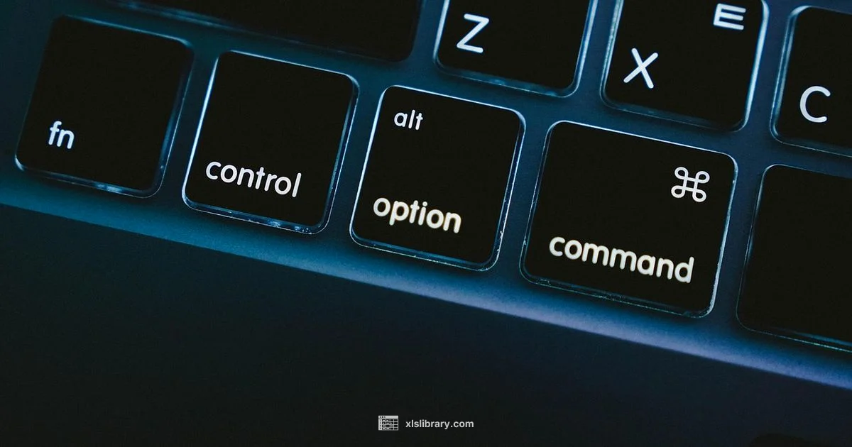 Excel on Mac Excel on Mac - XLS Library