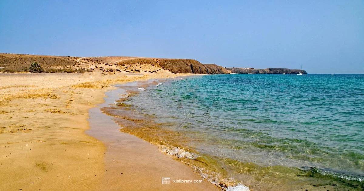 Top Excellence Mexico - XLS Library