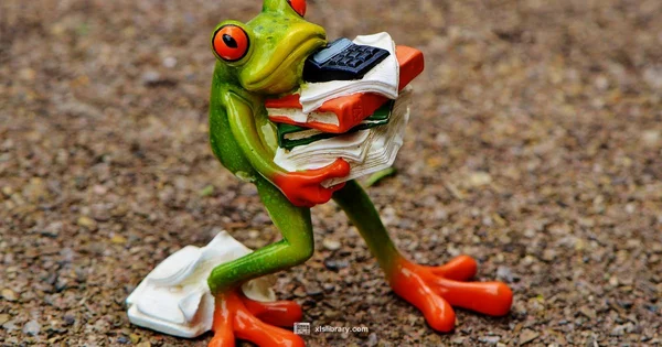 Compatibility Guide - XLS Library