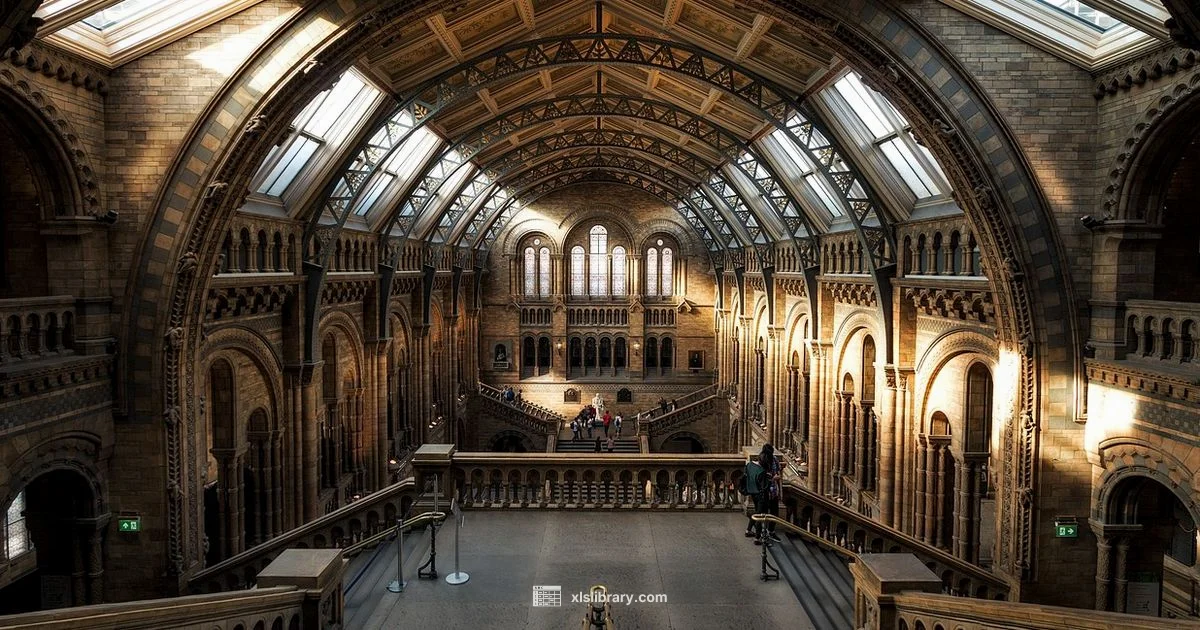 ExCeL London Size - XLS Library