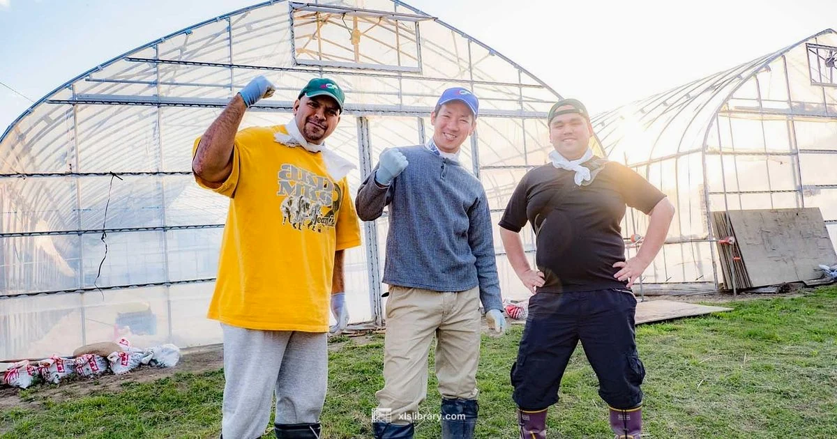 Excel Learning - XLS Library