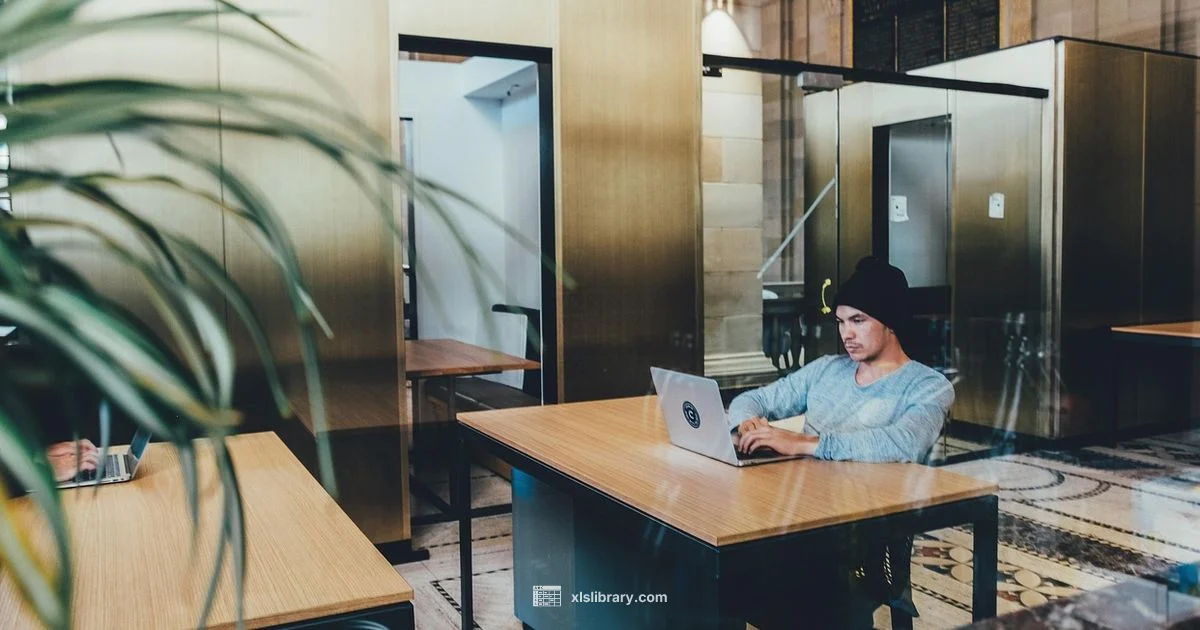 Excel Mastery Timeline - XLS Library